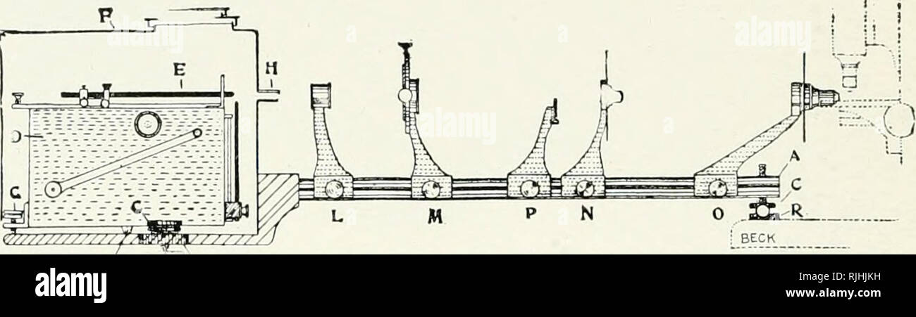 . Beck microscopes. Les microscopes. Tenue pour microscopie Ultra.. C'est monté sur un banc d'optique complet composé d'une barre d'acier solide (A) 24 à de long, réalisée sur 2 barres de traverse (B), sup- porté sur 2 vis de mise à niveau (C). La projection sur une extrémité de la barre est fixée automatiquement une lampe à arc (D) 5 à 10 A, qui a le carbone positive (E) à l'horizontale et la verticale de carbone négatif. Le cratère de l'arc est donc directement en face de la chan- axe optique de l'établi. La lampe à arc est enfermé dans une lampe (F) avec les portes latérales et d'une petite ouverture tubulaire (H) à l'avant pour permettre à la lumière d'e Banque D'Images