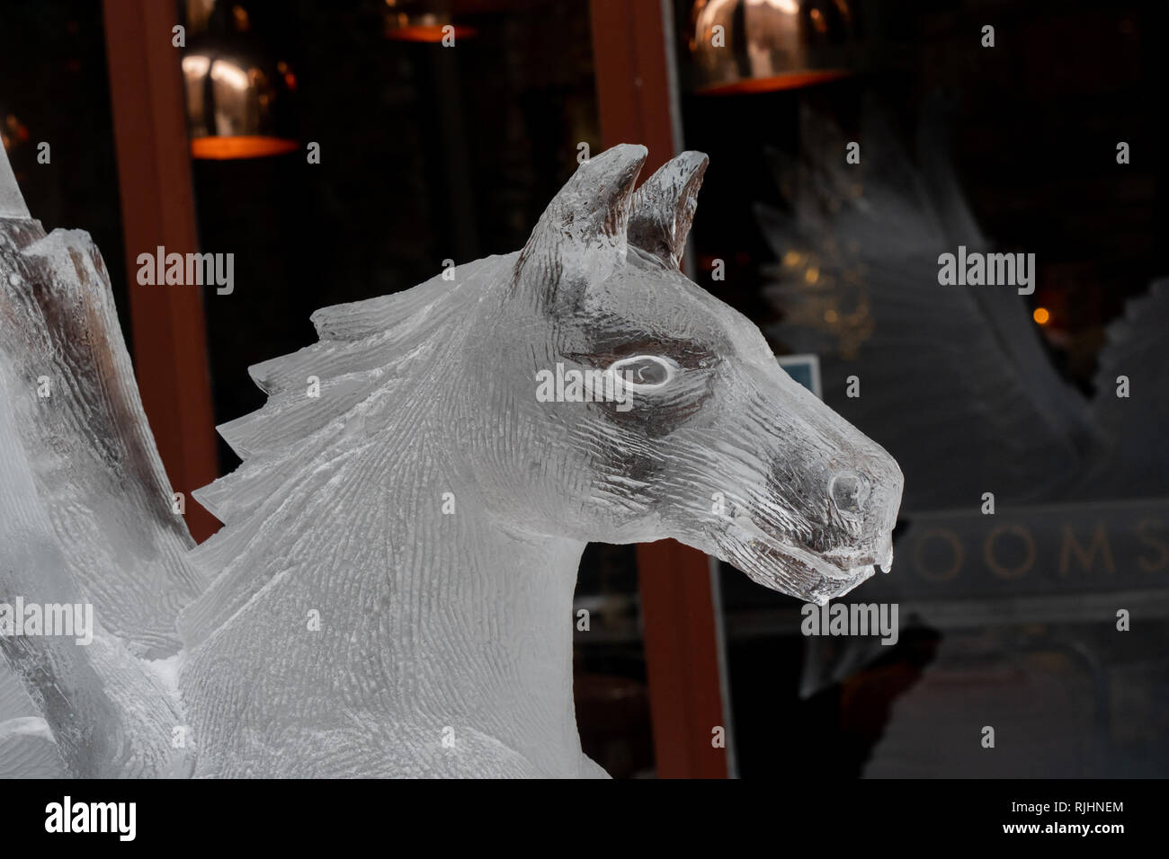 Sculpture sur glace Pegasus le long de « York ICE Trail », Stonegate, York, North Yorkshire, Angleterre, ROYAUME-UNI. Banque D'Images