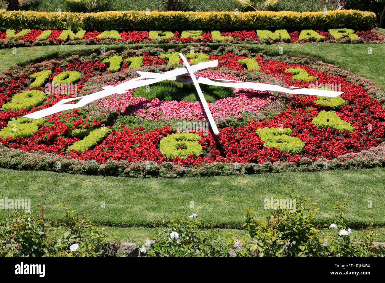 Chili, Viña del Mar, l'horloge florale, Banque D'Images