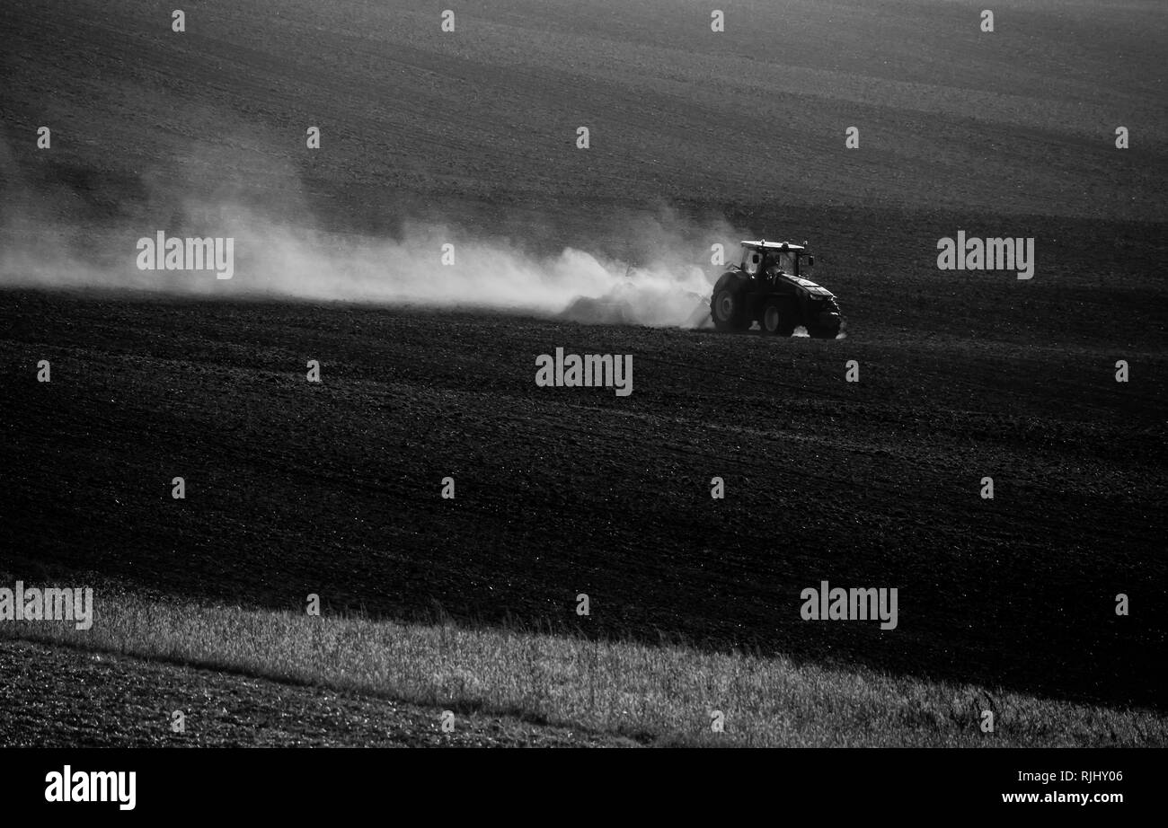 Le tracteur au cours de l'automne les travaux dans les domaines de la Moravie du Sud au coucher du soleil Banque D'Images