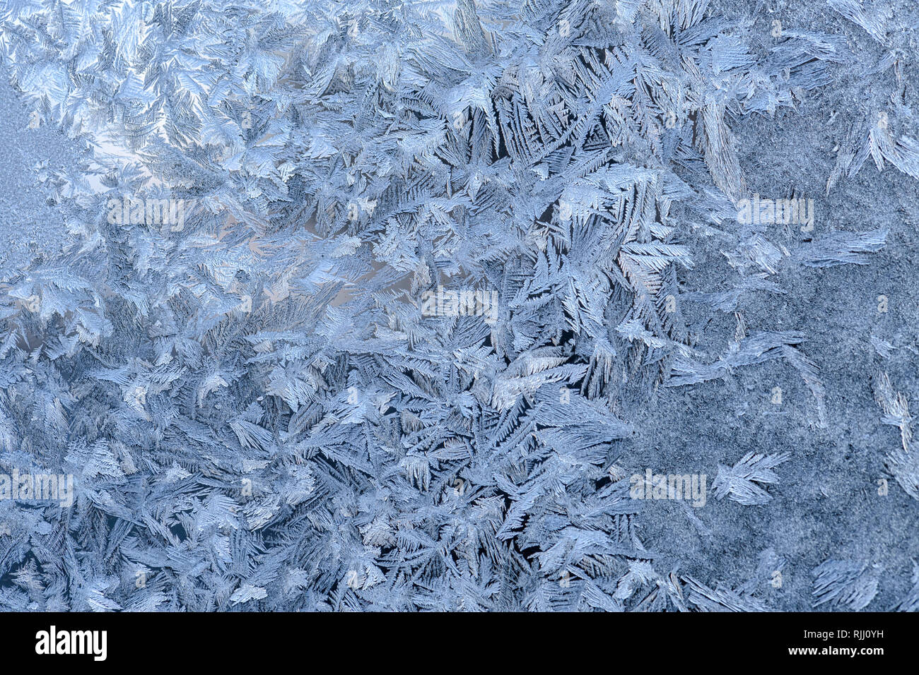Hiver gel modèle sur une vitre Banque D'Images