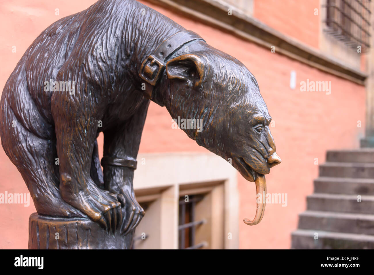 Réplique de E. M. Geyger en bronze de l'ours, Wroclaw, Wroclaw, Pologne, Wroklaw. Il est dit être la bonne chance de toucher ou frotter la langue de l'ours. Banque D'Images