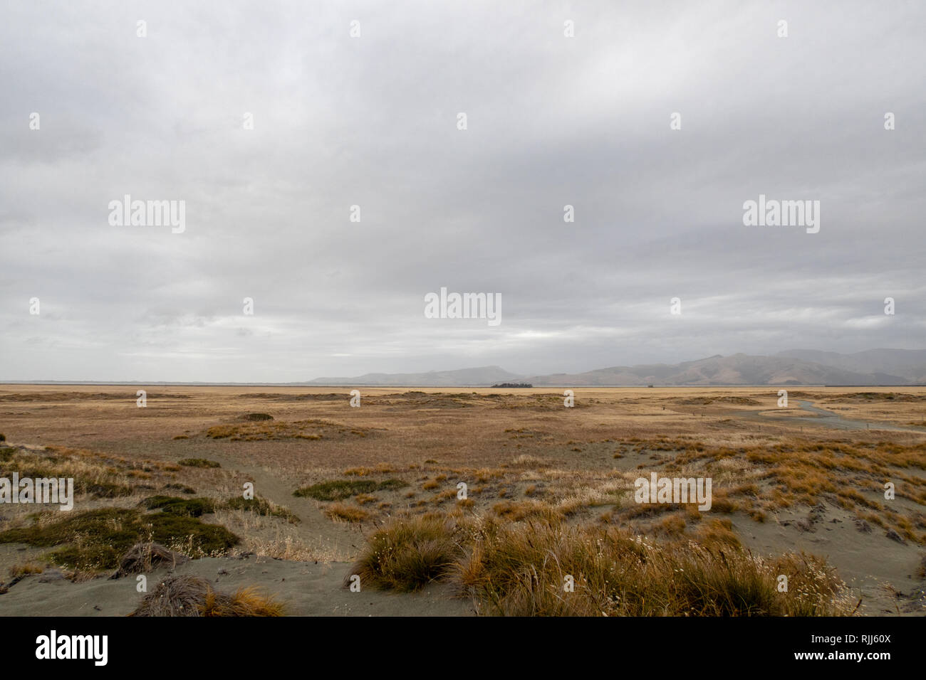 Le paysage ouvert et exposé le long Kaitorete Spit, avec ses dunes de sable et la flore de la plage, sous un ciel nuageux Banque D'Images