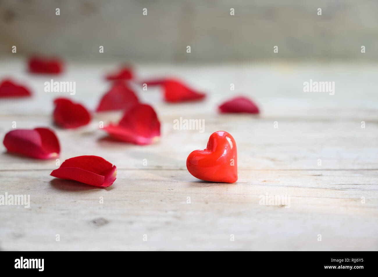 Coeur rouge en verre et des pétales de rose sur un fond de bois gris rustique, love concept avec copie espace sélectionné, Focus, profondeur de champ étroit Banque D'Images