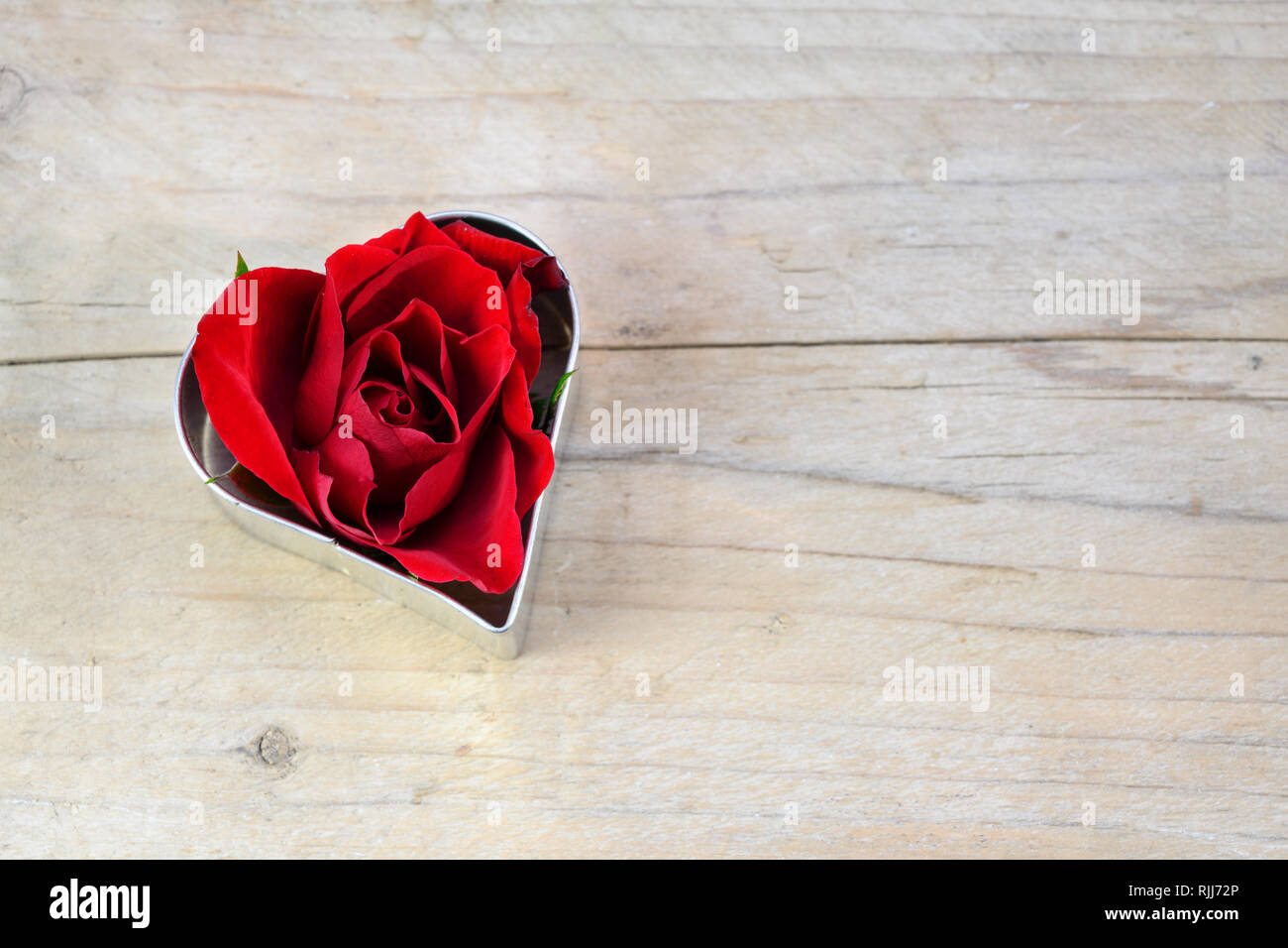 Fleur rose rouge en forme de coeur à l'emporte-pièce, l'amour pour la Saint Valentin de concept ou de mères le bois rustique, copie, espace de discussion sélectionné Banque D'Images