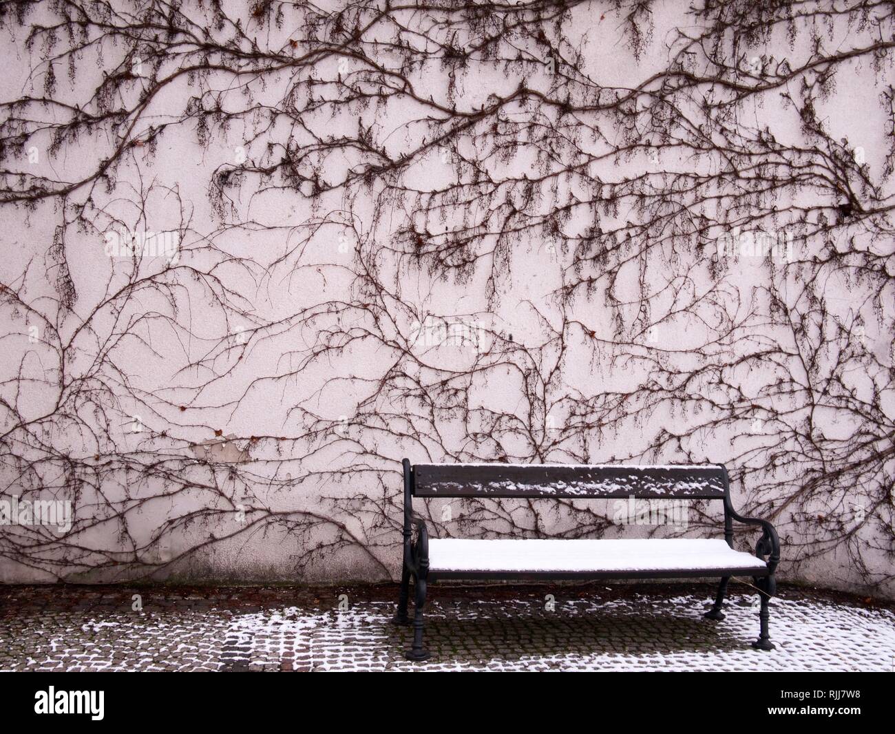 Un banc de neige en face d'un bâtiment avec une façade couverte de Taris pampres Banque D'Images