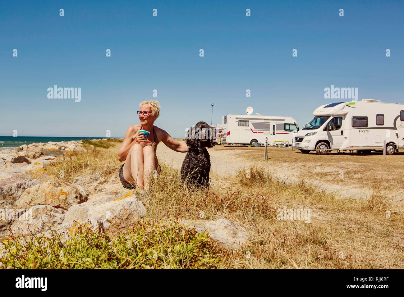Femme avec siège avec son chien, caniche, roi dans l'herbe sur un camping-site, la plage par la mer, Houlgate, Normandie, France Banque D'Images Femme avec siège avec son chien, caniche, roi dans l'herbe sur un camping-site, la plage par la mer, Houlgate, Normandie, France Banque D'Images