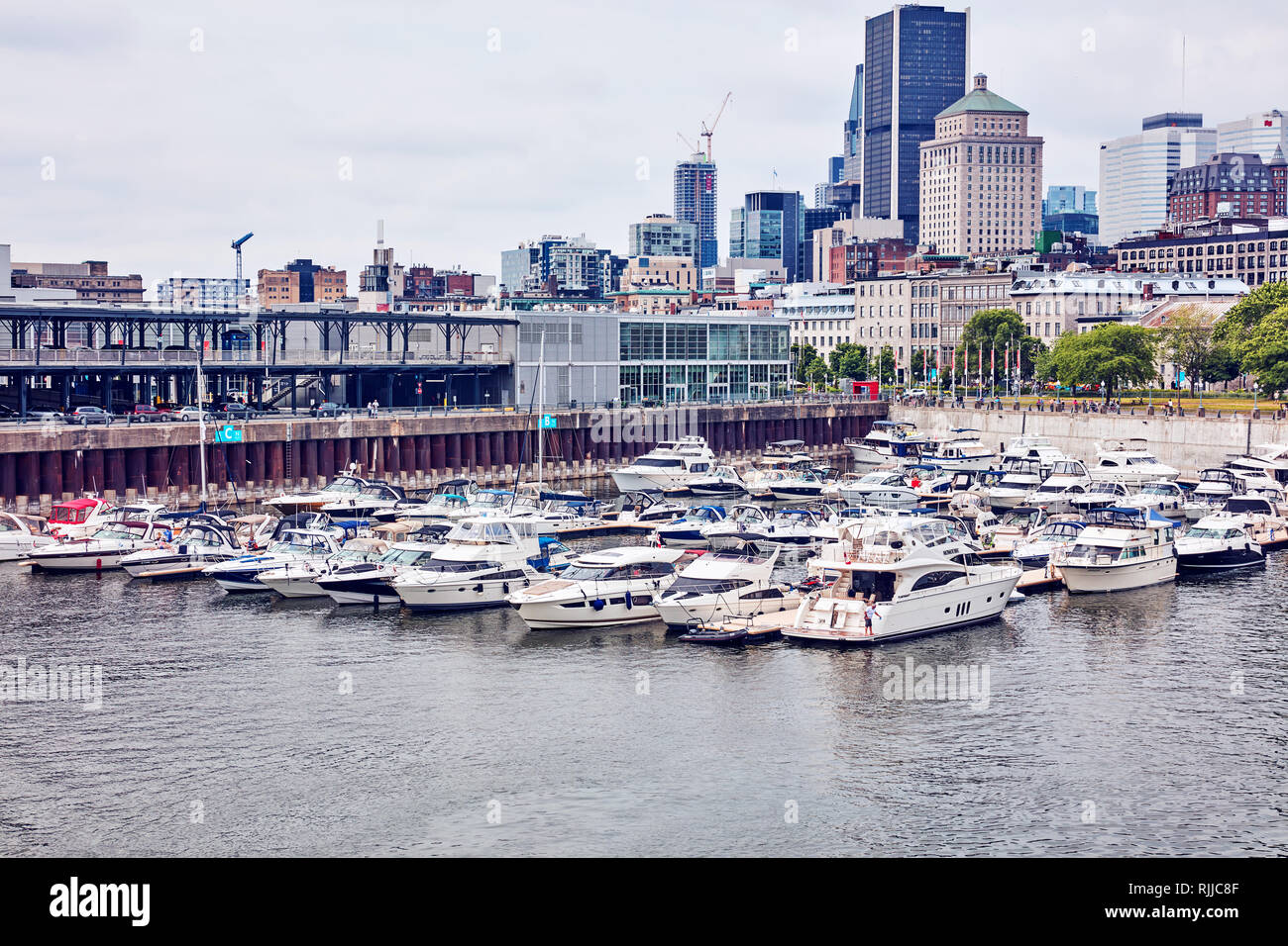Montréal, Canada - Juin 2018 : de luxe bateaux ancrés dans le port d'escale dans la marina vieux port, Montréal, Québec, Canada. Éditorial. Banque D'Images