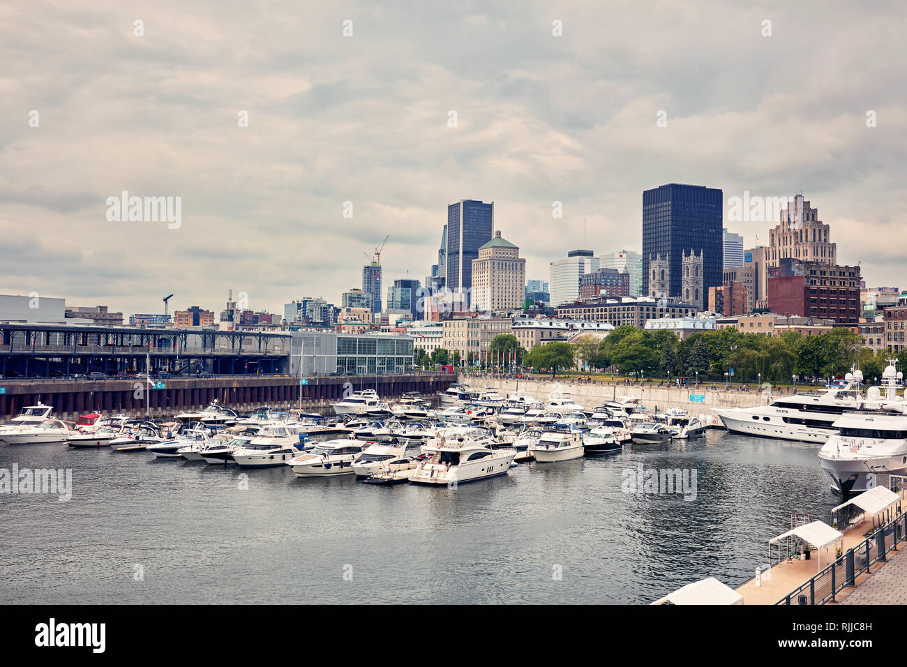 Montréal, Canada - Juin 2018 : de luxe bateaux ancrés dans le port d'escale dans la marina vieux port, Montréal, Québec, Canada. Éditorial. Banque D'Images