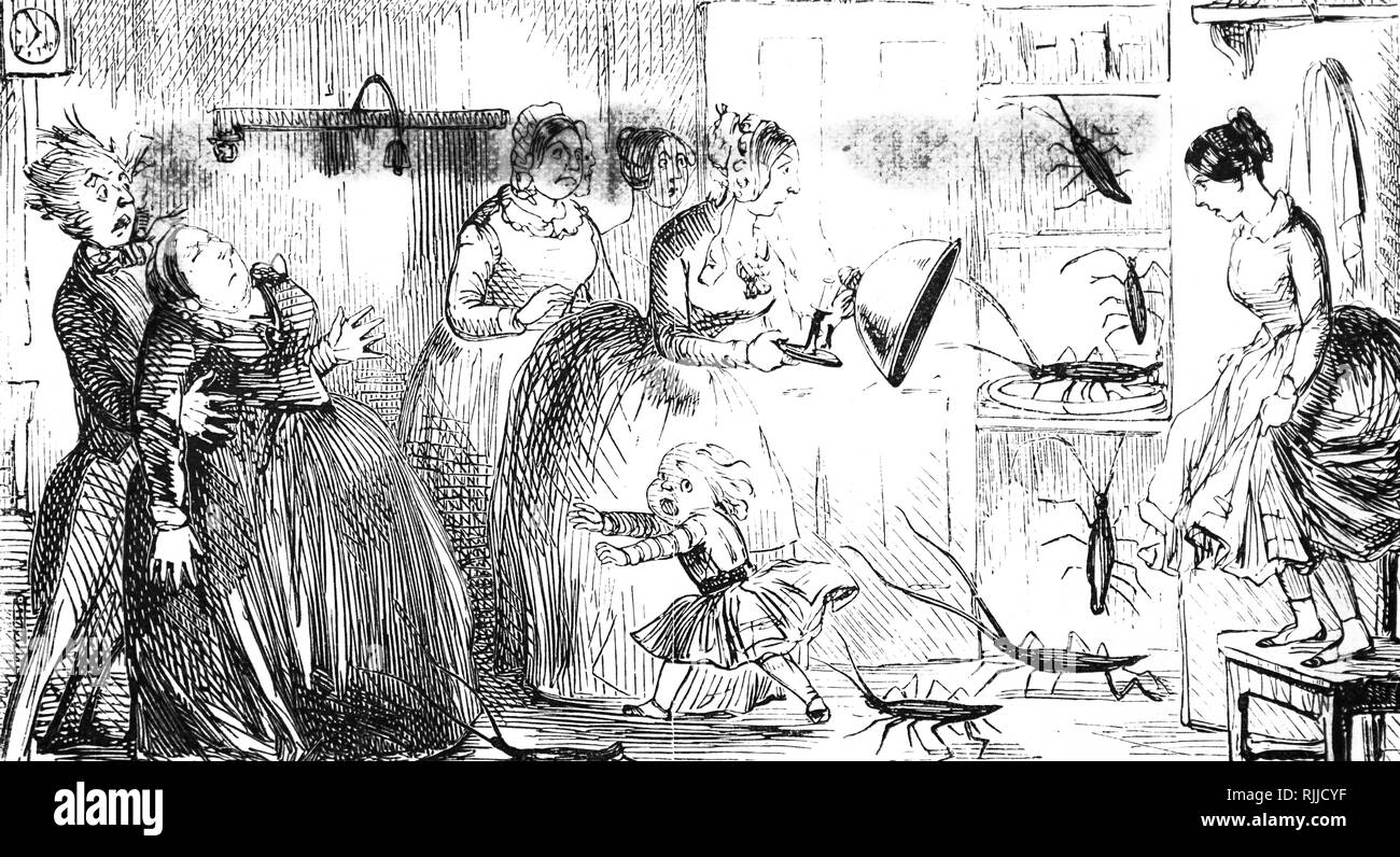 Une caricature représentant une chambre au terme par les cafards et autres insectes. Illustré par John Leech (1817-1864), un caricaturiste et illustrateur français. En date du 19e siècle Banque D'Images