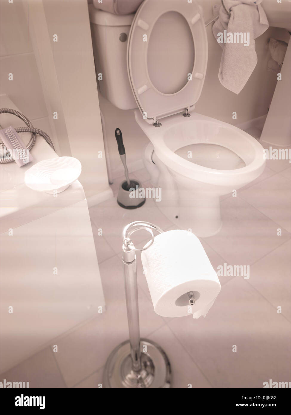 Rouleau de papier toilette sur mandrin à bains de couleur pâle Banque D'Images