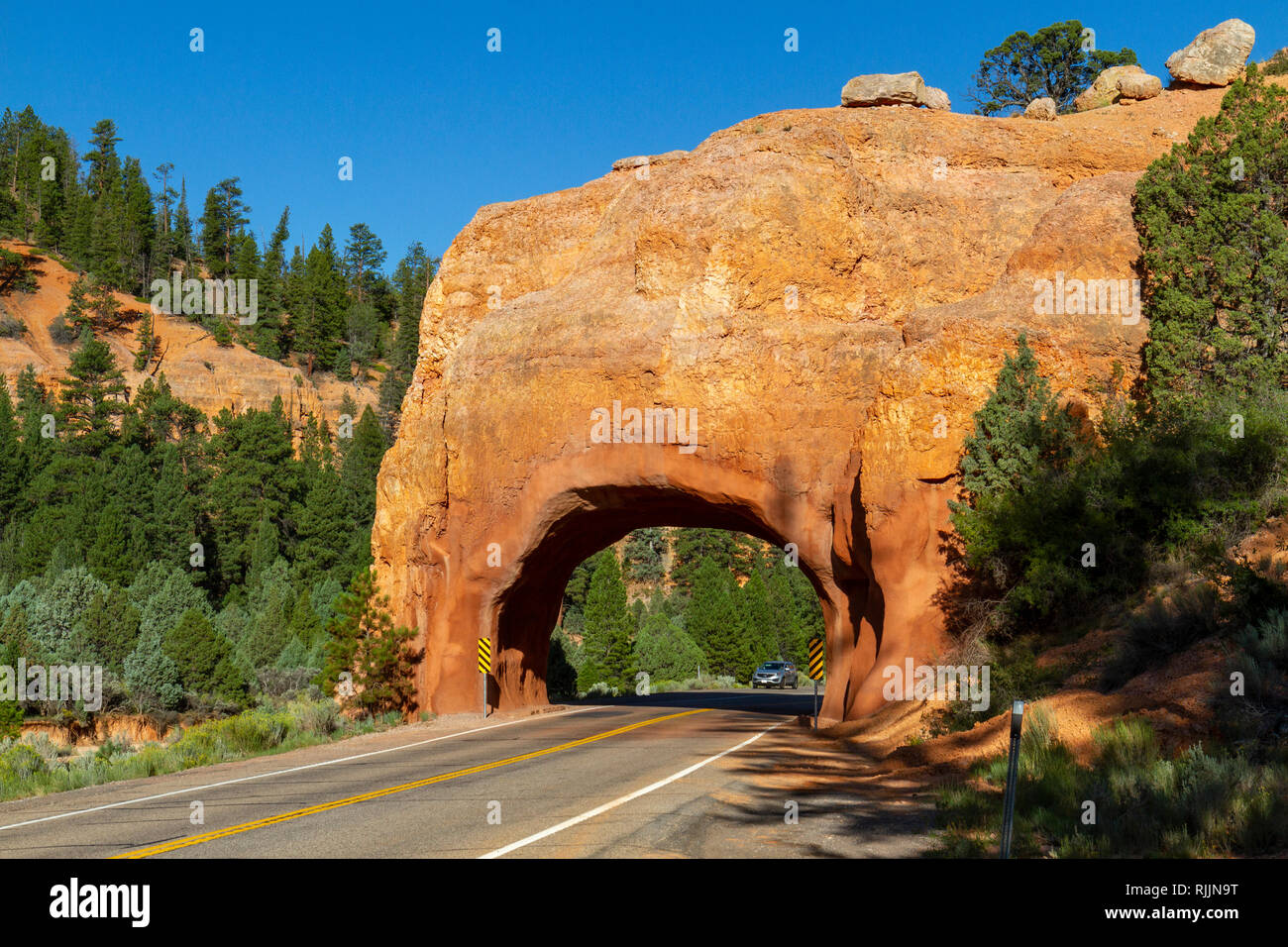 L'une des Red Canyon Arches sur l'Utah State Route 12 dans la Dixie National Forest dans l'Utah, United States. Banque D'Images