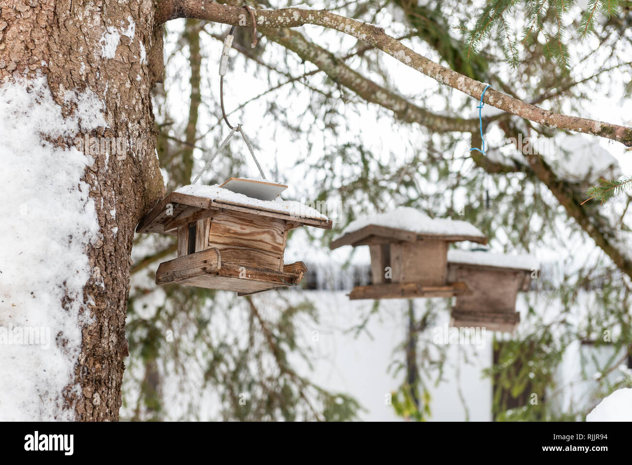 Home-made de l'oiseau en bois convoyeur en hiver, sous la neige. Banque D'Images