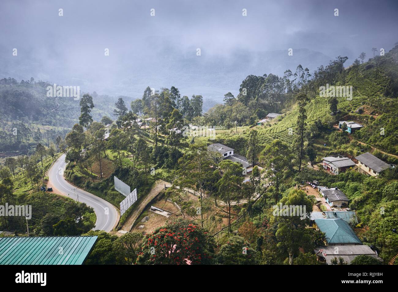 Ville au milieu de plantations de thé. Paysage dans les nuages. Haputale, Sri Lanka Banque D'Images