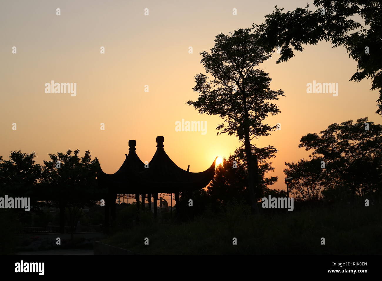 Suzhou, Jiangsu, arbres et pagodes au coucher du soleil Banque D'Images