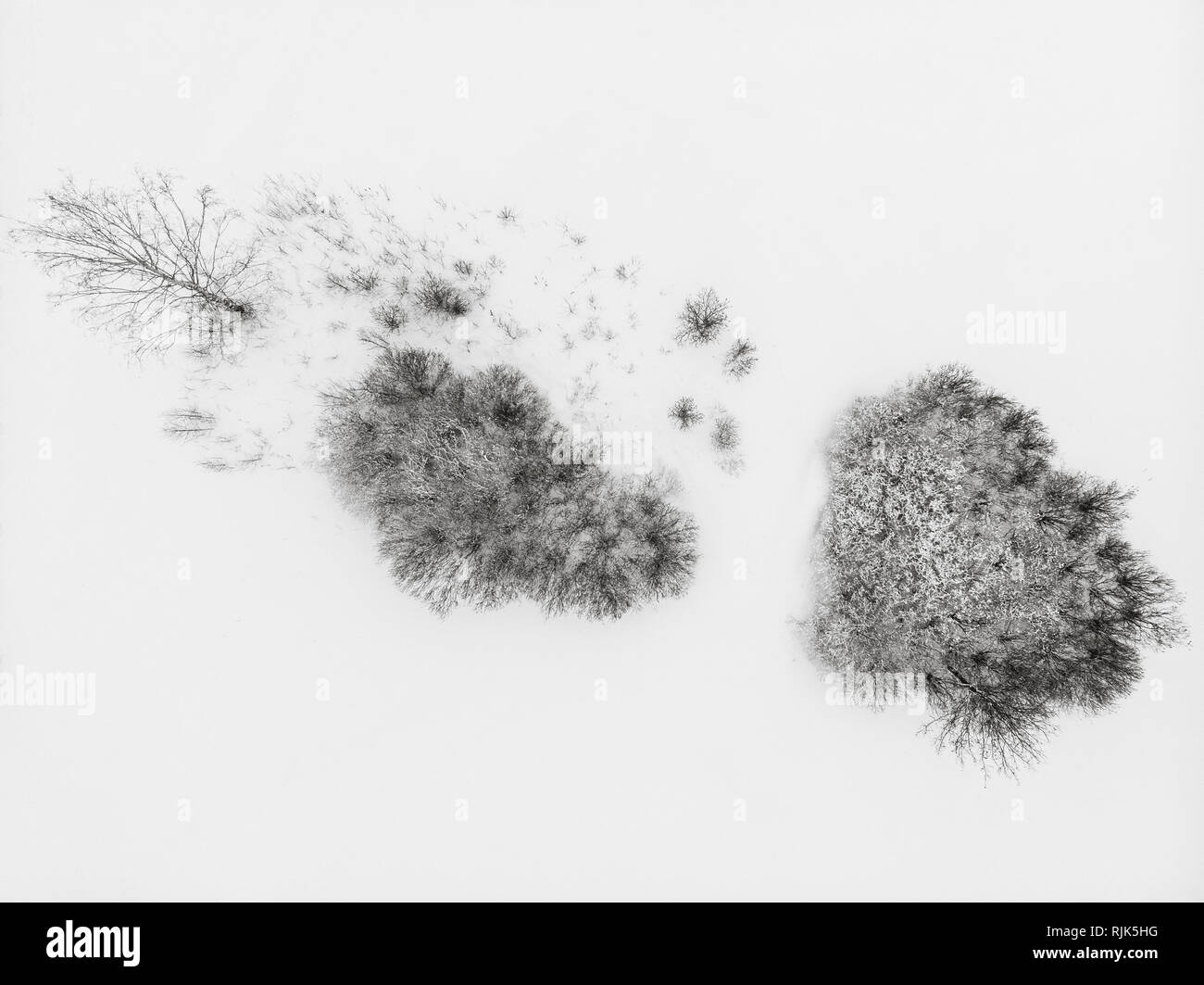 Île de threes dans la neige. Le minimalisme, style abstrait photographie du drone. Banque D'Images
