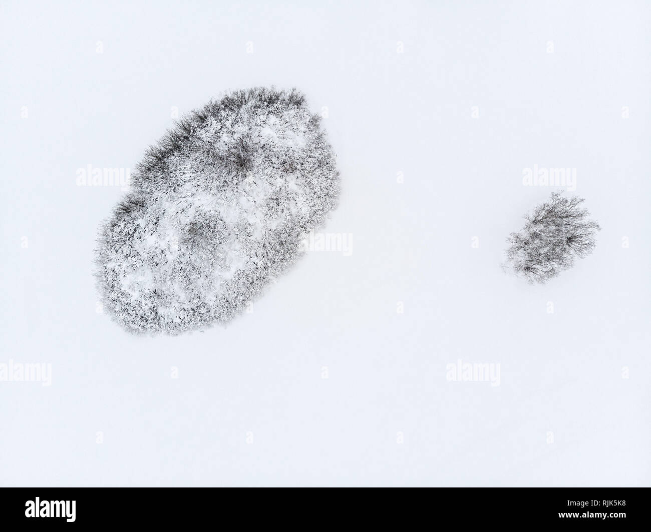 Île de threes dans la neige. Le minimalisme, style abstrait photographie du drone. Banque D'Images