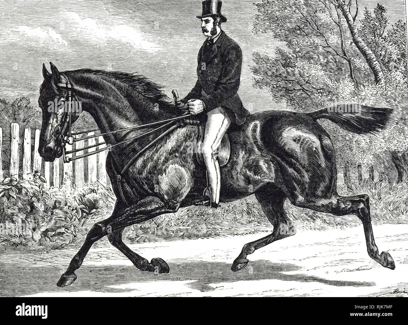 Une gravure représentant un gentilhomme en trottant avec son cheval. En date du 19e siècle Banque D'Images