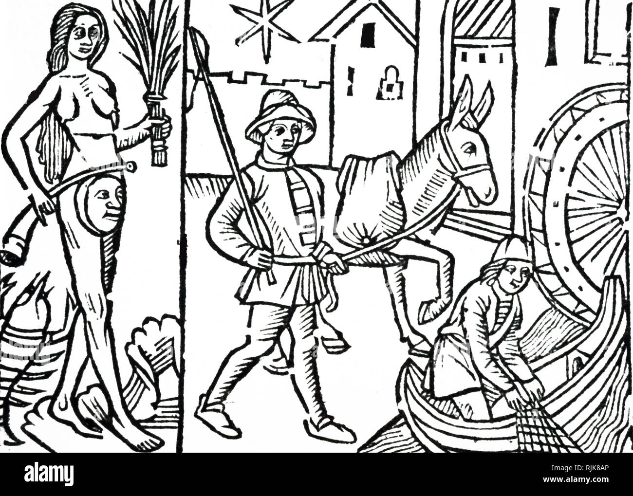Une gravure sur bois représentant un pack animal (âne). En date du 16e siècle Banque D'Images