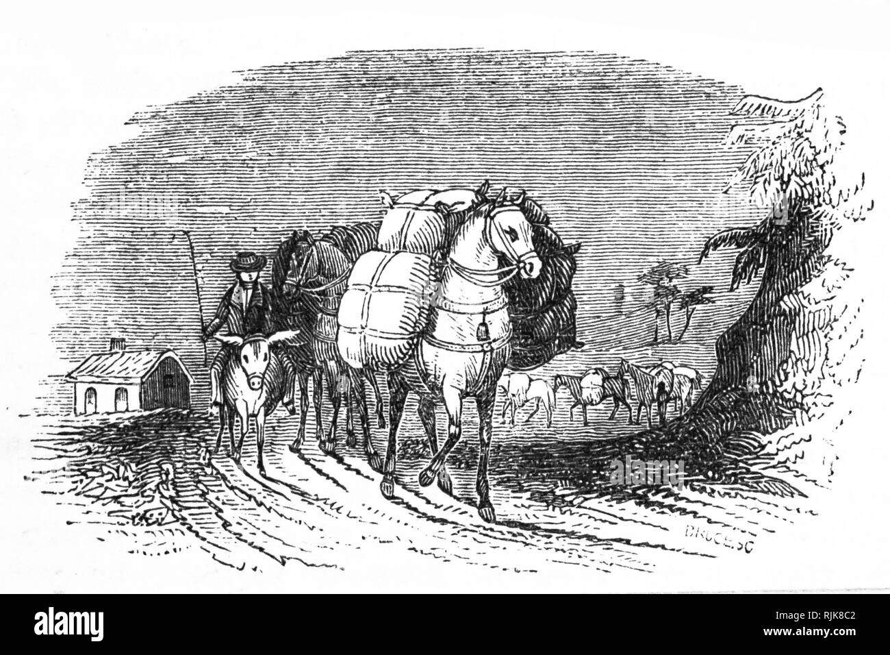 Une gravure représentant un cheval de bât transportant des marchandises. En date du 19e siècle Banque D'Images
