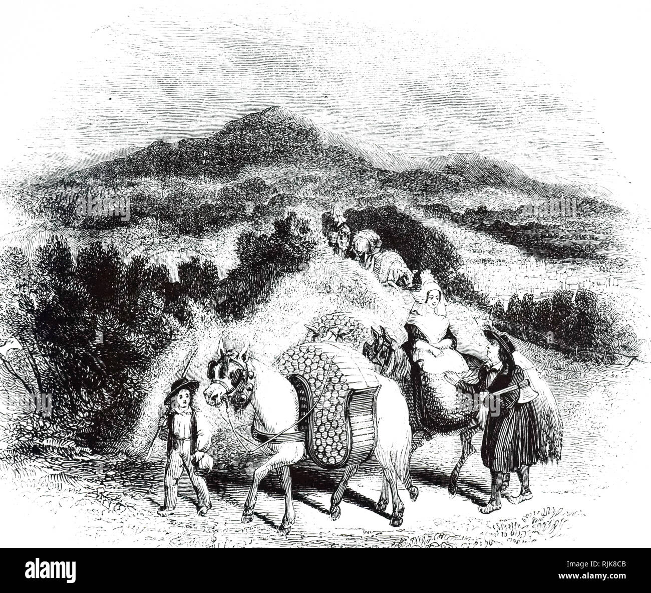 Une gravure illustrant les bûcherons en Normandie transportant leur carburant en crooks sur chevaux. En date du 19e siècle Banque D'Images