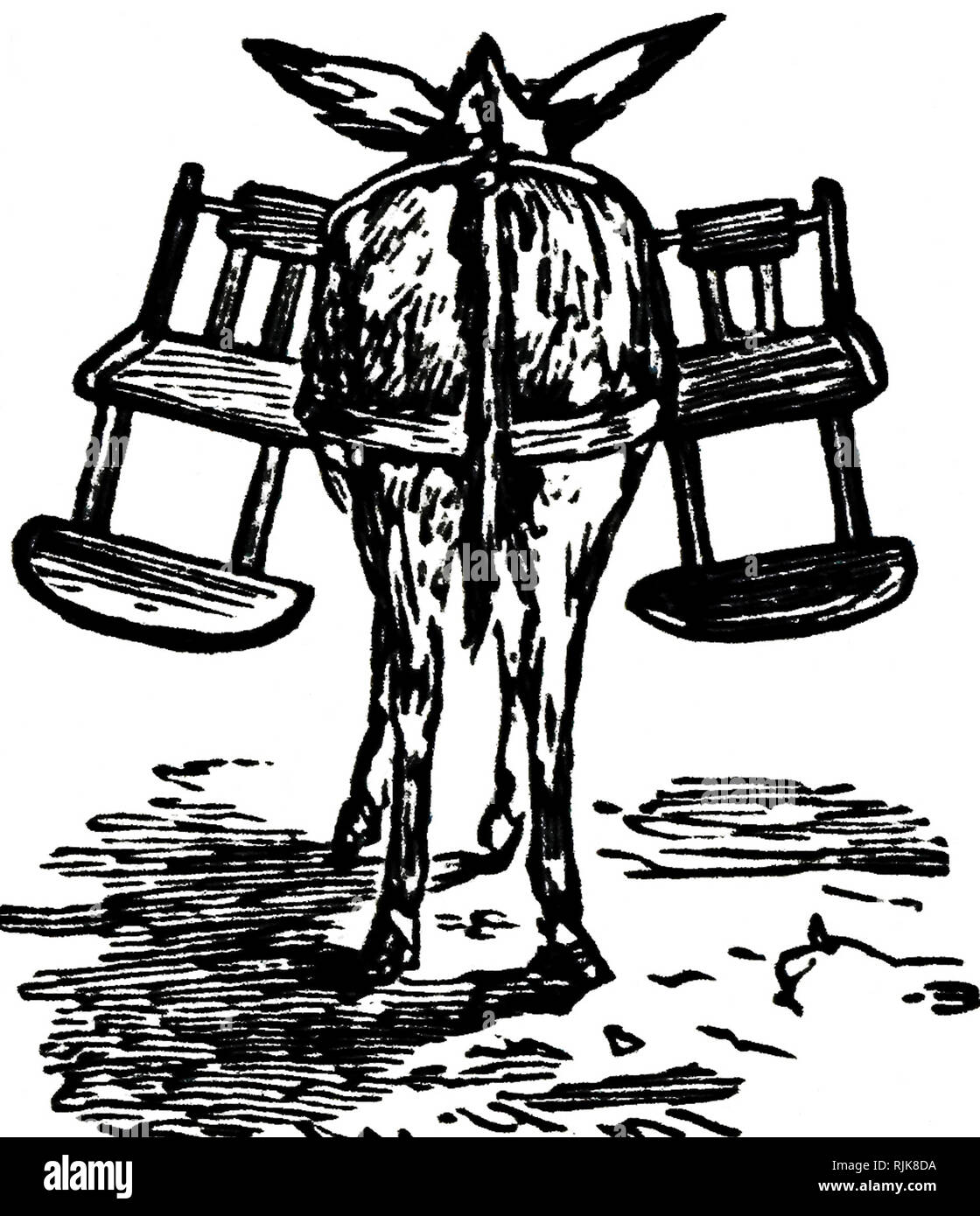 Une gravure représentant un pack-mule. En date du 20e siècle Banque D'Images
