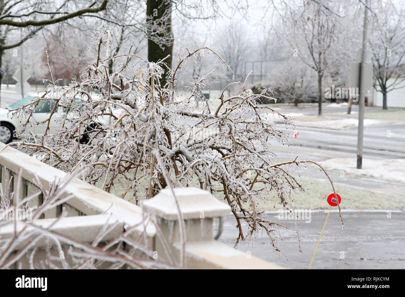 London, Ontario, Canada. 6 Février, 2019. Les écoles ont été fermées et la circulation a été retardée par des températures de -5 et la pluie se tourna vers le sud-ouest de l'Ontario et de la patinoire. Crédit : Luc Durda/Alamy Live News Banque D'Images