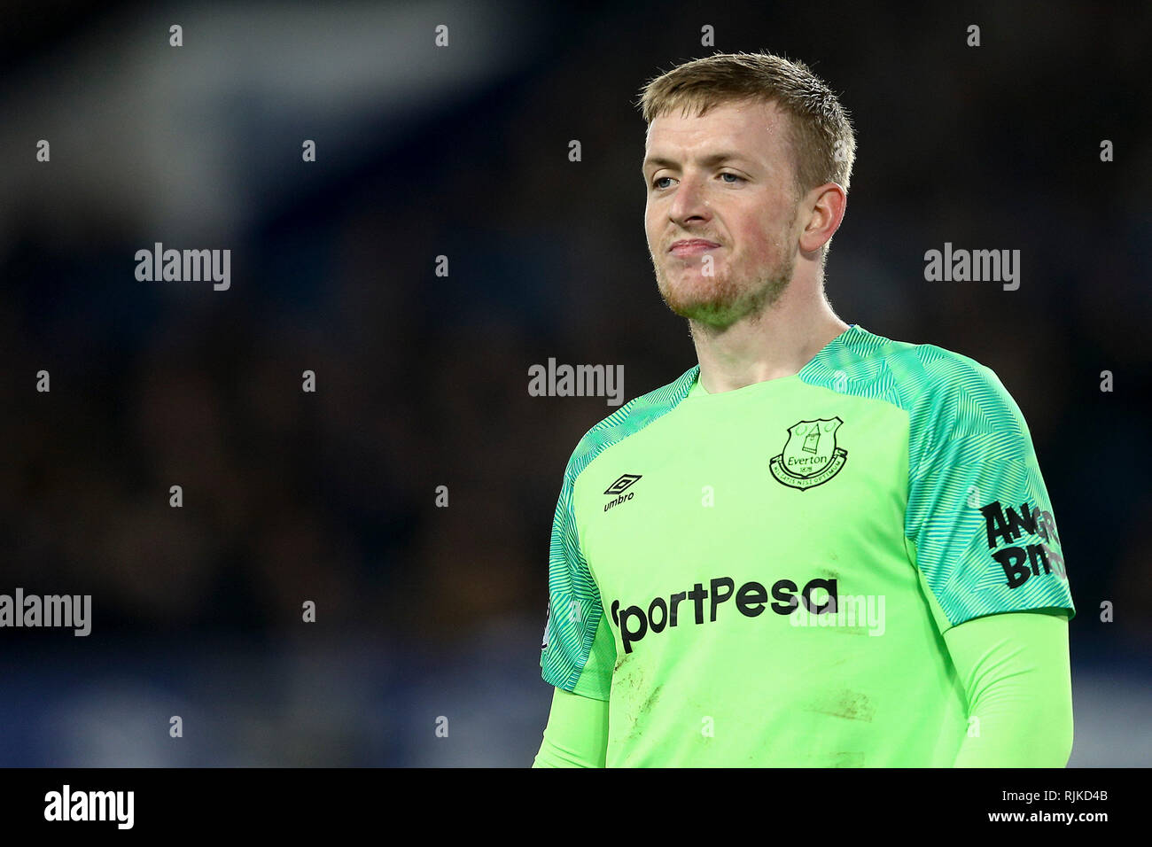 Liverpool, Royaume-Uni. Feb 06, 2019. Le Gardien d'Everton Jordan Pickford regarde sur. Premier League, Everton v Manchester City à Goodison Park à Liverpool le mercredi 6 février 2019. Cette image ne peut être utilisé qu'à des fins rédactionnelles. Usage éditorial uniquement, licence requise pour un usage commercial. Aucune utilisation de pari, de jeux ou d'un seul club/ligue/dvd publications. Photos par Chris Stading/Andrew Orchard la photographie de sport/Alamy live news Crédit : Andrew Orchard la photographie de sport/Alamy Live News Banque D'Images