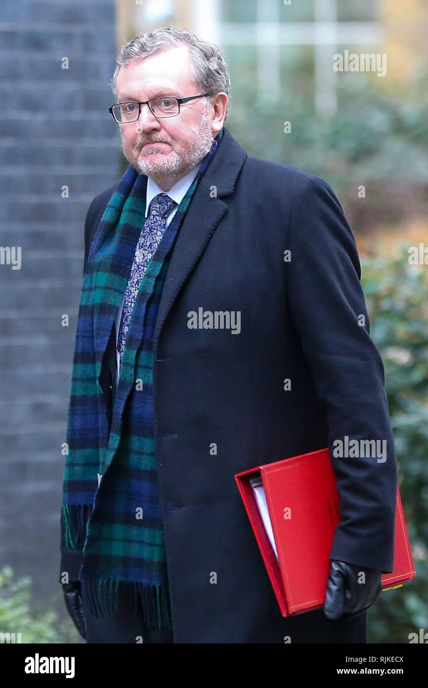 David Mundell - Secrétaire d'Etat pour l'Ecosse vu arriver au Downing Street pour assister à la réunion hebdomadaire du Cabinet. Banque D'Images