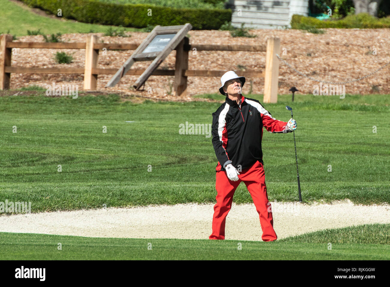 Monterey, USA. Feb 06, 2019. PEBBLE BEACH, CALIFORNIE - Le 06 février : Bill Murray est visible pendant les 3M Celebrity Défi à l'AT&T Pebble Beach Pro-Am sur février 06, 2019 à Pebble Beach, en Californie. Photo:Chris Tuite/imageSPACE Crédit : Imagespace/Alamy Live News Banque D'Images