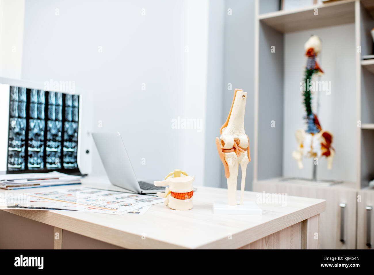 Bureau du thérapeute avec les modèles anatomiques et de la colonne x-ray à  la table Photo Stock - Alamy