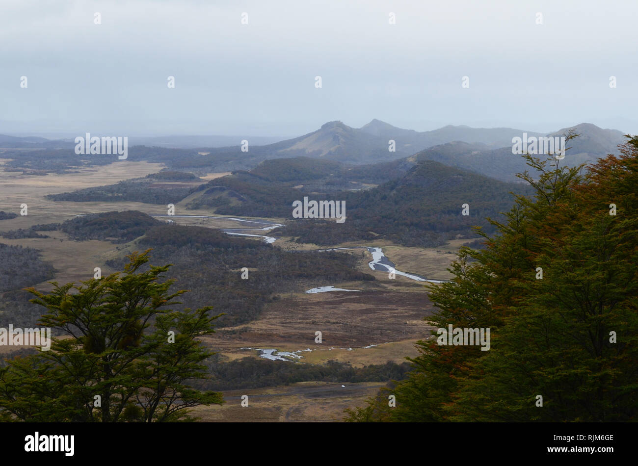 L'habitat de la mosaïque de forêts de hêtre subpolaire et steppe de Patagonie dans Karukinka parc naturel, le sud du Chili Banque D'Images