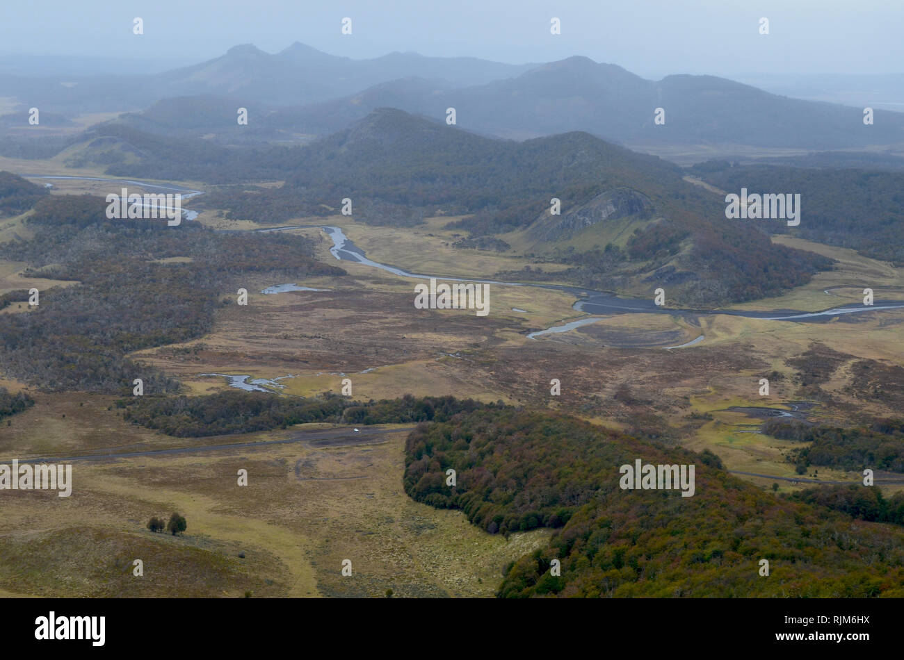 L'habitat de la mosaïque de forêts de hêtre subpolaire et steppe de Patagonie dans Karukinka parc naturel, le sud du Chili Banque D'Images