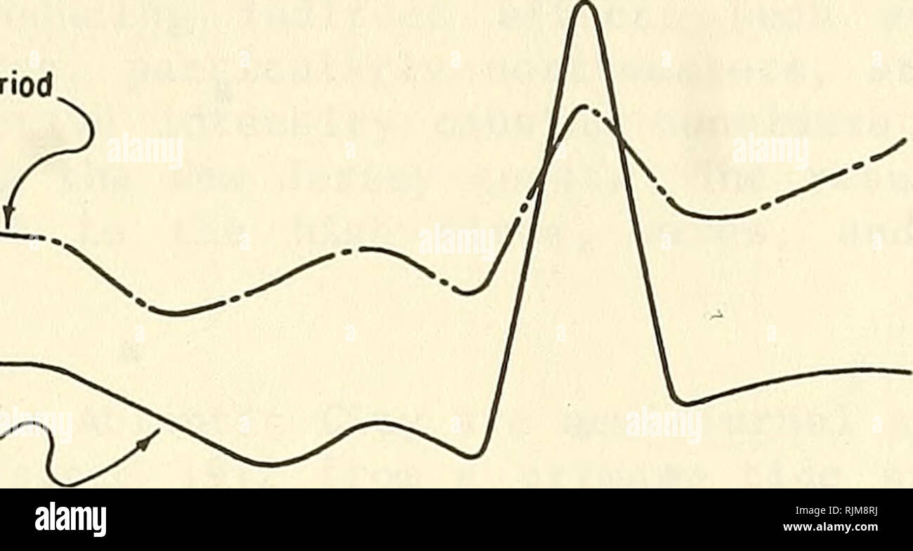 . Beach change à Atlantic City, New Jersey (1962-73). L'érosion des plages de la côte ; les modifications. 1,25 1,00 0,75 050 0,25 Appréciation tissaient des période. 10 - Appréciation. Srgnif icône ! Hauteur vélin - Appréciation : 818 s - Appréciation Significonl hauteur : 0,81 m - 6 - - a. - 2 1 1 1 1 1 1 1 Jon 10 févr. Mor. Avril Moy Juin Juillet 1965-67 1964- 67 1965- 67 1966- 67 1964 ; 1964- 67 septembre août J L 1964-65 ; 1967 oct. nov. déc 1964-1967 Figure 14. Hauteur de vague significative moyenne et moyenne période des vagues par mois d'avril 1964 à décembre 1967. 10 - 2. Veuillez noter que ces images sont extraites de la page numérisée des images qui peuvent avoir été 1 unité centrale numérique Banque D'Images