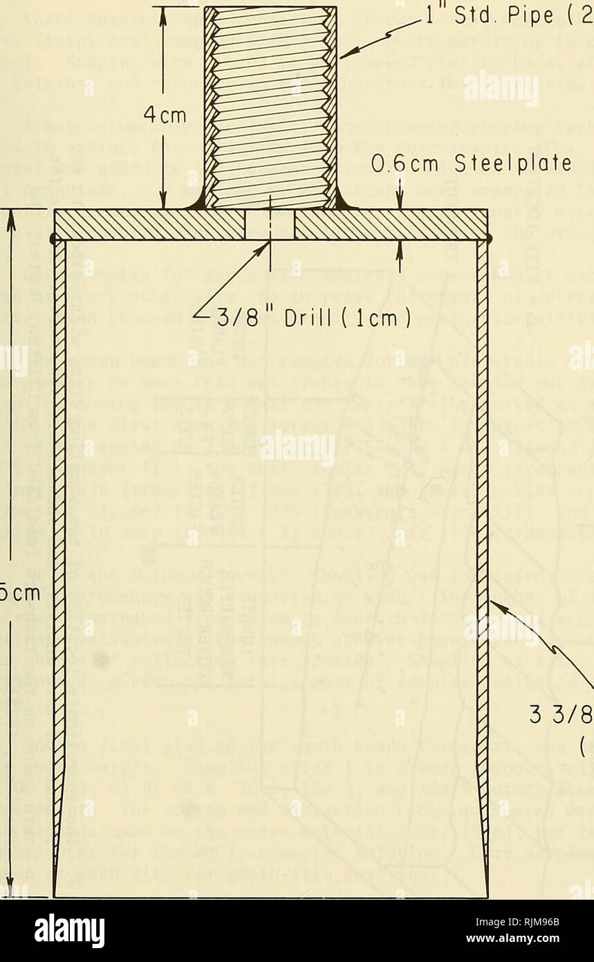 . Étude de la faune plage Champ CERC Installation de recherche, canard, Caroline du Nord. Des plages ; la gestion des zones côtières ; l'écologie estuarienne. 54 cm 15cm 3 3/8 Conduit en acier, 8.5cm ) Figure 3. Coupe transversale d'un carottier utilisé comme un dispositif d'échantillonnage. 17. Veuillez noter que ces images sont extraites de la page numérisée des images qui peuvent avoir été retouchées numériquement pour plus de lisibilité - coloration et l'aspect de ces illustrations ne peut pas parfaitement ressembler à l'œuvre originale.. Matta, James Frank, 1943- ; Centre de recherche en génie côtier (U. S. ) ; l'université Old Dominion. Département de sciences biologiques. Fort Belvoir Banque D'Images