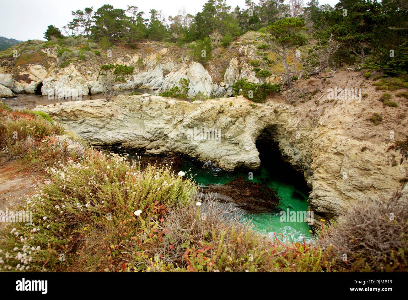 California coast Banque D'Images