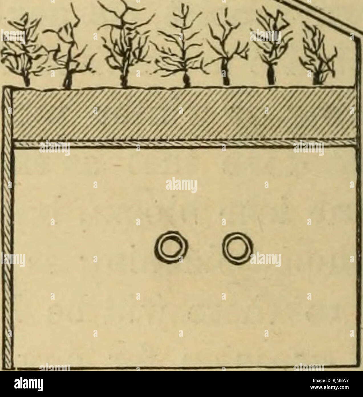 . Barry's Fruit jardin. La culture de fruits. [From old catalog]. Fig. 150.-SECTION D'PUOPAGATIN&amp ;-chambre. un appentis, lorsque la surface couverte est estimé, et c'est tellement plus d'ornement, tellement plus facile à gérer et l'occasion de donner la position des plantes et de la lumière re- quis, est beaucoup plus grand, nous nous demandons qu'il n'est pas plus généralement adopté. Il n'est pas toujours possible de sélectionner un emplacement dans le meilleur endroit, mais lorsque cela peut être fait les extrémités de la chambre devrait être le nord et le sud, et elle devrait être là où le drainage parfait peut être avait, après avoir fouillé trois pieds de profondeur, pour le pur Banque D'Images