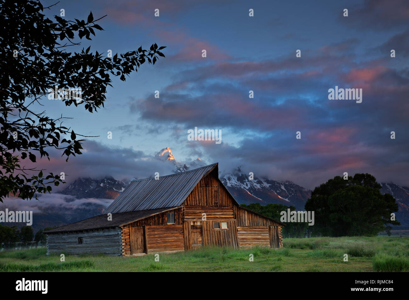 WY03313-00...WYOMING - grange historique sur Mormon Row avec le Grand Teton coller au-dessus des nuages au lever du soleil dans le Grand Teton National Park. Banque D'Images