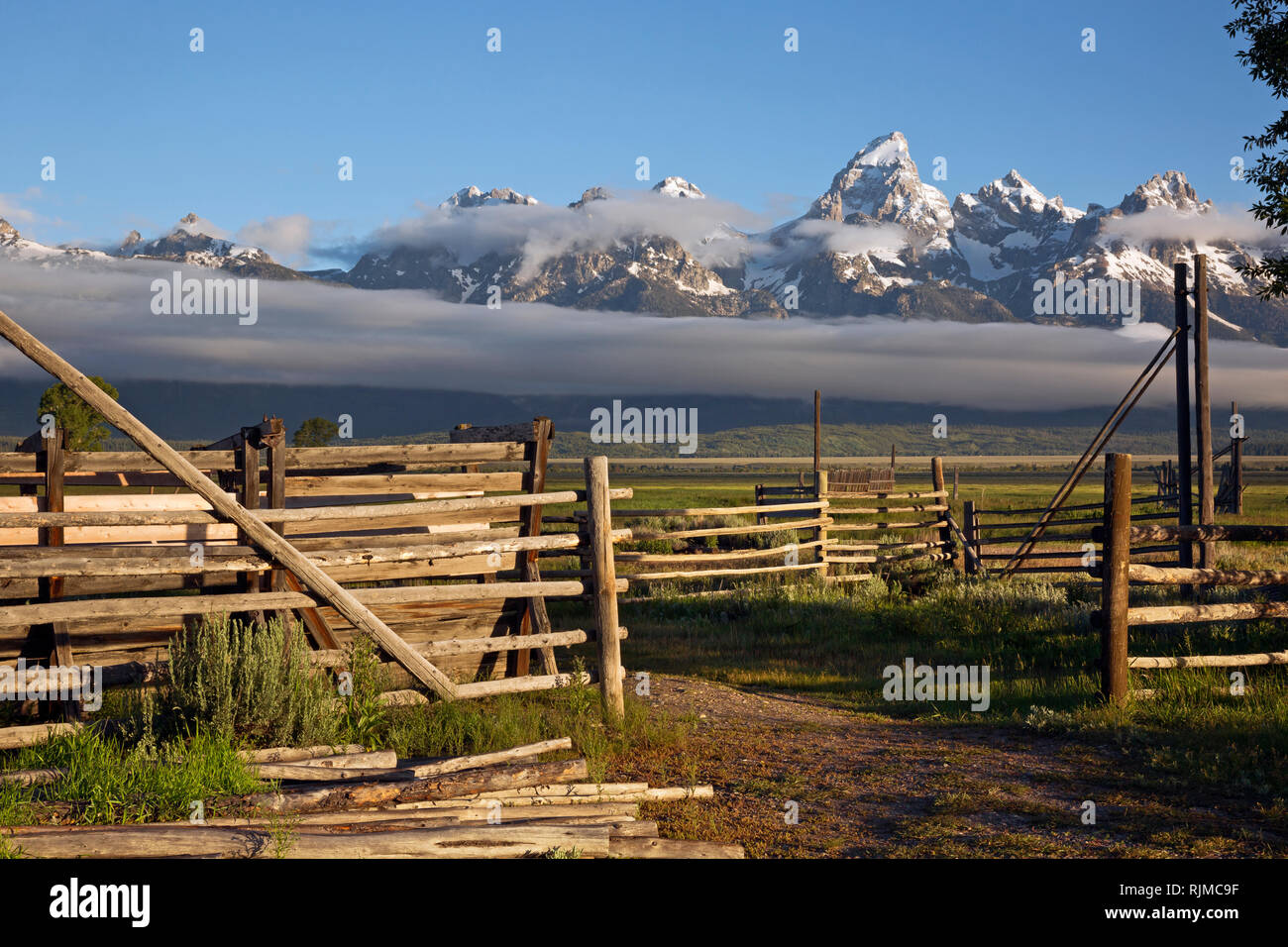 WY03322-00...WYOMING - Clôtures et les stylos à ferme historique le long de Mormon Row dans le Grand Teton National Park. Banque D'Images