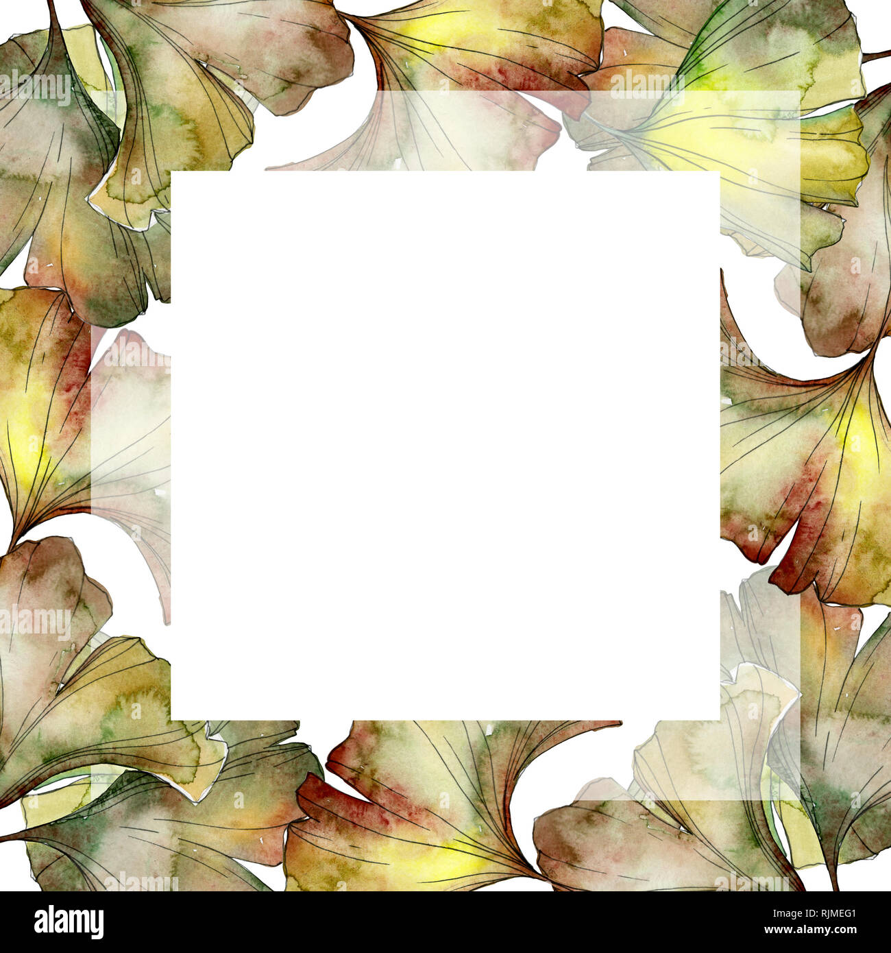 Le Ginkgo biloba feuille verte jardin botanique des plantes à feuillage floral. Contexte aquarelle illustration set. Dessin Aquarelle Aquarelle mode isolé Banque D'Images