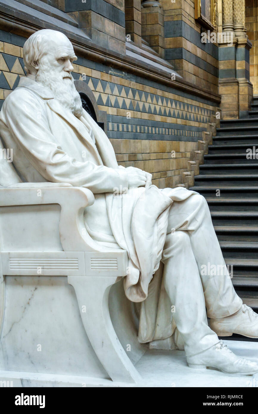 Royaume-Uni Grande-Bretagne Angleterre Londres Kensington Natural History Museum Central Hintze Hall statue Charles Darwin par Sir Joseph Boehm sta Banque D'Images