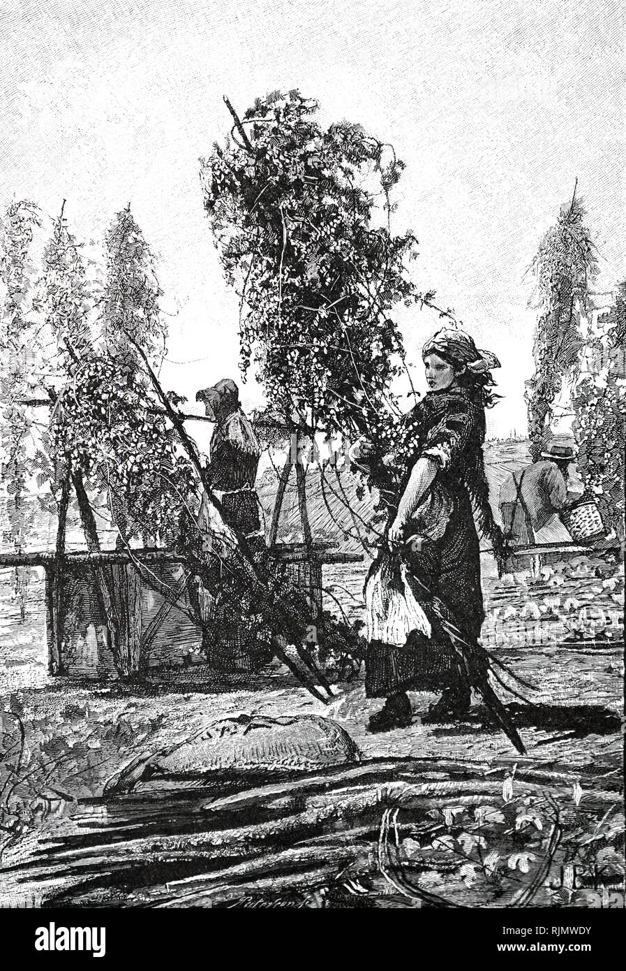 Une gravure représentant les travailleurs de l'East End londonien, sur leur rapport annuel, de la cueillette du houblon dans le Kent. 1887 Banque D'Images Une gravure représentant les travailleurs de l'East End londonien, sur leur rapport annuel, de la cueillette du houblon dans le Kent. 1887 Banque D'Images