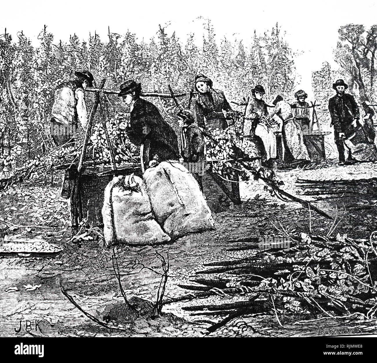 Une gravure représentant les travailleurs de l'East End londonien, sur leur rapport annuel, de la cueillette du houblon dans le Kent. 1887 Banque D'Images Une gravure représentant les travailleurs de l'East End londonien, sur leur rapport annuel, de la cueillette du houblon dans le Kent. 1887 Banque D'Images