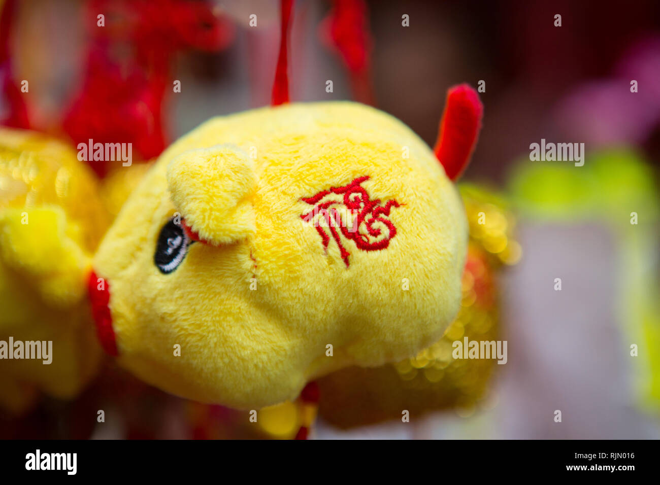 2019. Décoration du nouvel an chinois avec le caractère chinois 福 (Fu). Un caractère unique signifiant bonne fortune, bonheur et chance. Année du porc. Banque D'Images
