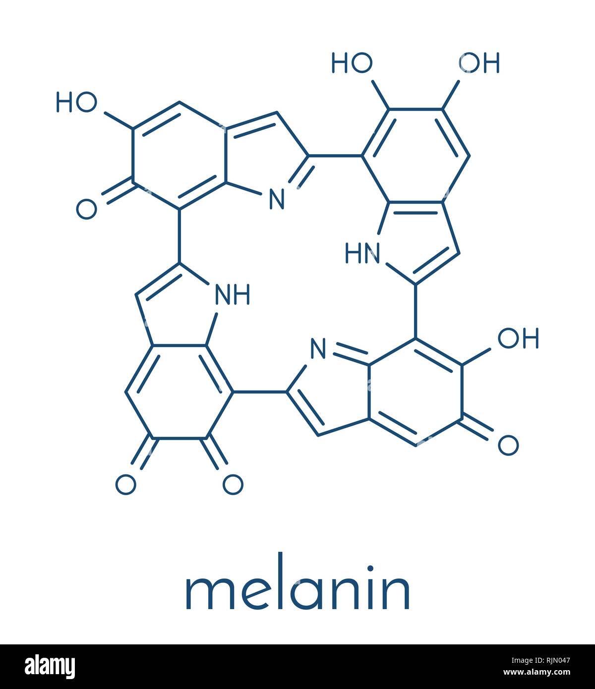 Was Ist Melanin Einfach Erklärt L'eumélanine (mélanine), modèle de structure oligomérique proposé