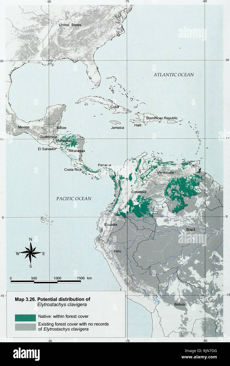 . La biodiversité en bambou : Afrique, Madagascar et les Amériques. Bambou bambou ; Biodiversité ; ; Biodiversité ; Bamboe ; Rotan ; Biodiversiteit ; Bambusgewa ?chse ; BAMBOU ; diversité biologique ; LA CONSERVATION DE LA NATURE ; DES CARTES ; Afrique ; Madagascar ; Amériques. La biodiversité en bambou. Site 3.26. Distribution potentielle des Elytrostachys clavigera autochtones : l'intérieur du couvert forestier Le couvert forestier existant avec aucun enregistrement d'Elytrostachys clavigera 68. Veuillez noter que ces images sont extraites de la page numérisée des images qui peuvent avoir été retouchées numériquement pour plus de lisibilité - coloration et l'aspect de ces illustrations ne peut pas Banque D'Images