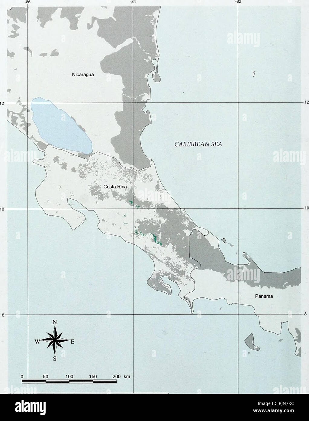 . La biodiversité en bambou : Afrique, Madagascar et les Amériques. Bambou bambou ; Biodiversité ; ; Biodiversité ; Bamboe ; Rotan ; Biodiversiteit ; Bambusgewa ?chse ; BAMBOU ; diversité biologique ; LA CONSERVATION DE LA NATURE ; DES CARTES ; Afrique ; Madagascar ; Amériques. La biodiversité en bambou. Site 3.20. Distribution potentielle des Autochtones dans longiligulata Chusquea : couvert forestier Le couvert forestier existant avec aucun enregistrement de Chusquea longiligulata 62. Veuillez noter que ces images sont extraites de la page numérisée des images qui peuvent avoir été retouchées numériquement pour plus de lisibilité - coloration et l'apparition de ces illustrations peuvent ne pas pe Banque D'Images