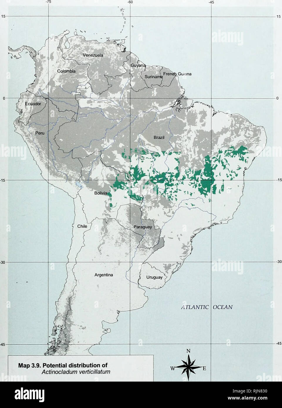 . La biodiversité en bambou : Afrique, Madagascar et les Amériques. Bambou bambou ; Biodiversité ; ; Biodiversité ; Bamboe ; Rotan ; Biodiversiteit ; Bambusgewa ?chse ; BAMBOU ; diversité biologique ; LA CONSERVATION DE LA NATURE ; DES CARTES ; Afrique ; Madagascar ; Amériques. La biodiversité en bambou. La carte 3.9. Distribution potentielle des Actinocladum verticillatum autochtones : l'intérieur du couvert forestier Le couvert forestier existant avec aucun enregistrement d'Actinocladum verticillatum -i- •60 500 1000 1500 km 51. Veuillez noter que ces images sont extraites de la page numérisée des images qui peuvent avoir été retouchées numériquement pour plus de lisibilité - coloration et l'aspect o Banque D'Images