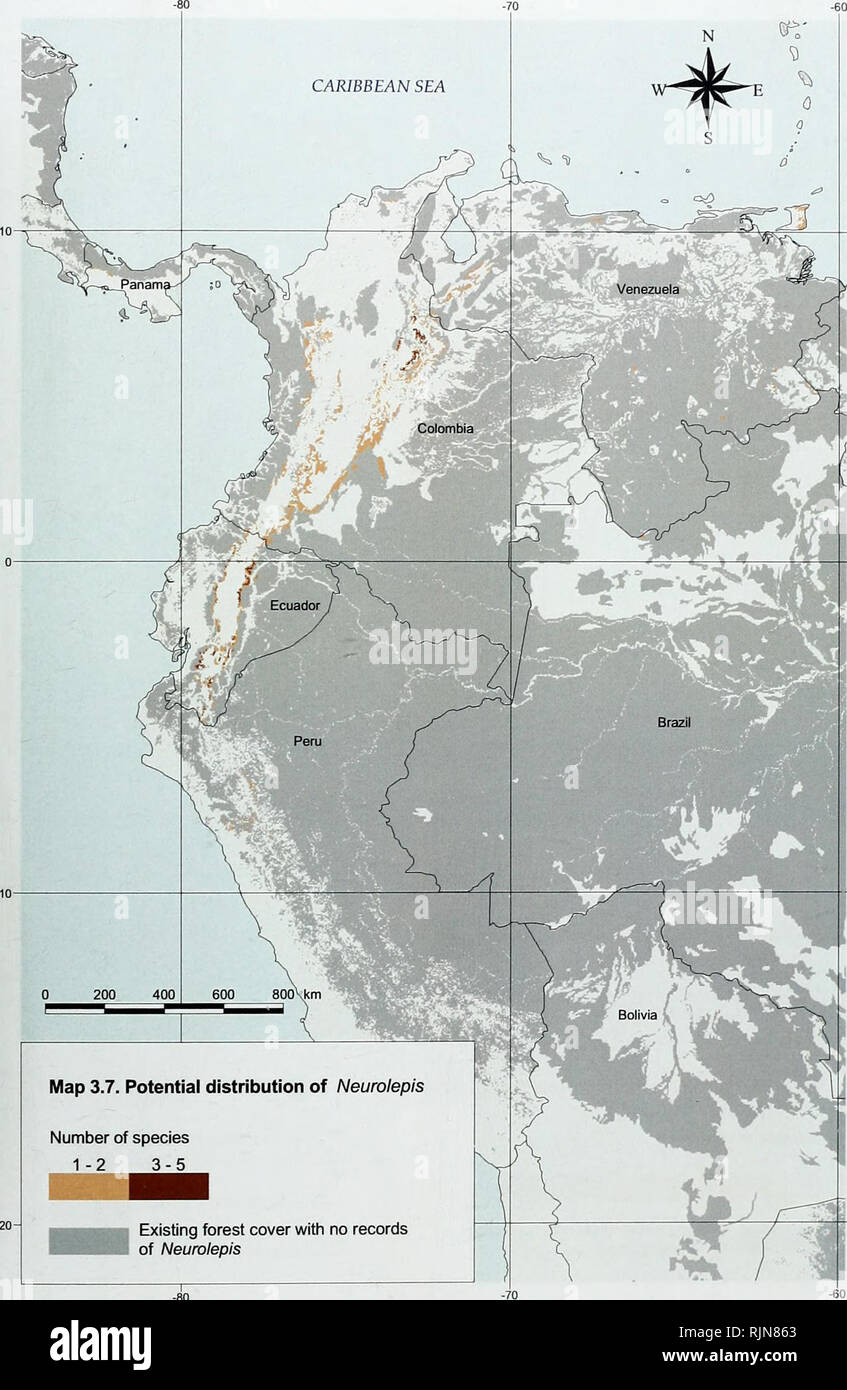 . La biodiversité en bambou : Afrique, Madagascar et les Amériques. Bambou bambou ; Biodiversité ; ; Biodiversité ; Bamboe ; Rotan ; Biodiversiteit ; Bambusgewa ?chse ; BAMBOU ; diversité biologique ; LA CONSERVATION DE LA NATURE ; DES CARTES ; Afrique ; Madagascar ; Amériques. La biodiversité en bambou. 200 400 Carte 3.7. Distribution potentielle des Neurolepis Nombre d'espèces 1-2 3-5 le couvert forestier existant avec aucun enregistrement de Neurolepis 49. Veuillez noter que ces images sont extraites de la page numérisée des images qui peuvent avoir été retouchées numériquement pour plus de lisibilité - coloration et l'aspect de ces illustrations ne peut pas parfaitement ressembler à th Banque D'Images