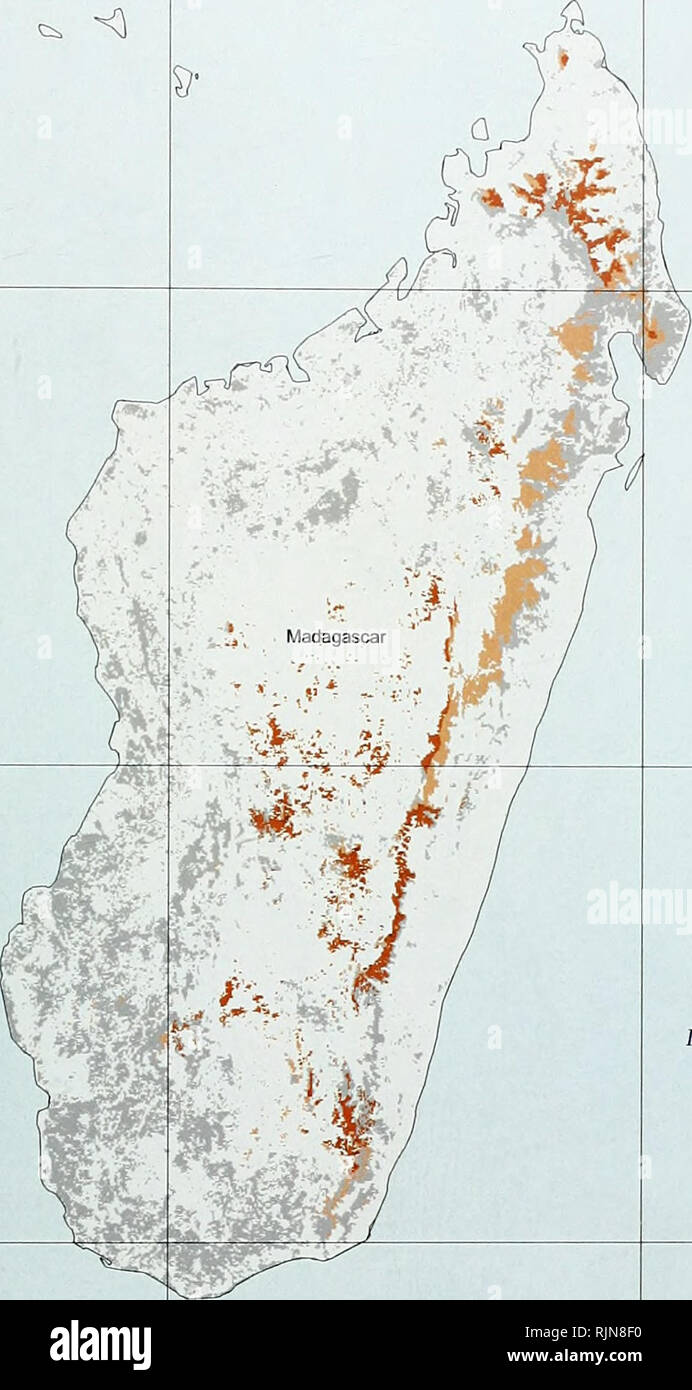 . La biodiversité en bambou : Afrique, Madagascar et les Amériques. Bambou bambou ; Biodiversité ; ; Biodiversité ; Bamboe ; Rotan ; Biodiversiteit ; Bambusgewa ?chse ; BAMBOU ; diversité biologique ; LA CONSERVATION DE LA NATURE ; DES CARTES ; Afrique ; Madagascar ; Amériques. La biodiversité en bambou V&gt ;. Carte 2.1 de l'océan Indien. Distribution potentielle de Nastus Nombre d'espèces 1 2 3 Le couvert forestier existant avec aucun enregistrement de Nastus N 0 100 200 300 400 km 37. Veuillez noter que ces images sont extraites de la page numérisée des images qui peuvent avoir été retouchées numériquement pour plus de lisibilité - coloration et l'apparition de ces illustrations peuvent n Banque D'Images